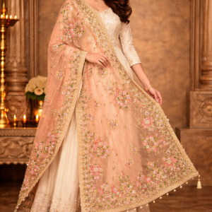 Dupatta (Designer / Embroidered)